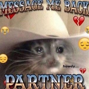 Meet your Posher, Cara